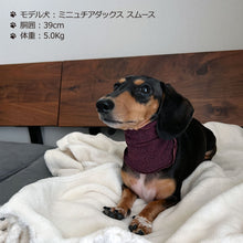 Load image into Gallery viewer, シルクメランジ ワンちゃん(超/小型犬)用 フード&ネックカバー ★フリーサイズ