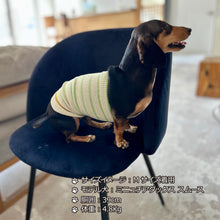 Load image into Gallery viewer, シルクメランジ ワンちゃん(超/小型犬)用 ロングタイプ 腹巻き ★アクセントラフボーダー S/Mサイズ