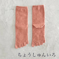 オーガニックコットン5本指 無地 クルー丈ソックス  23-25㎝