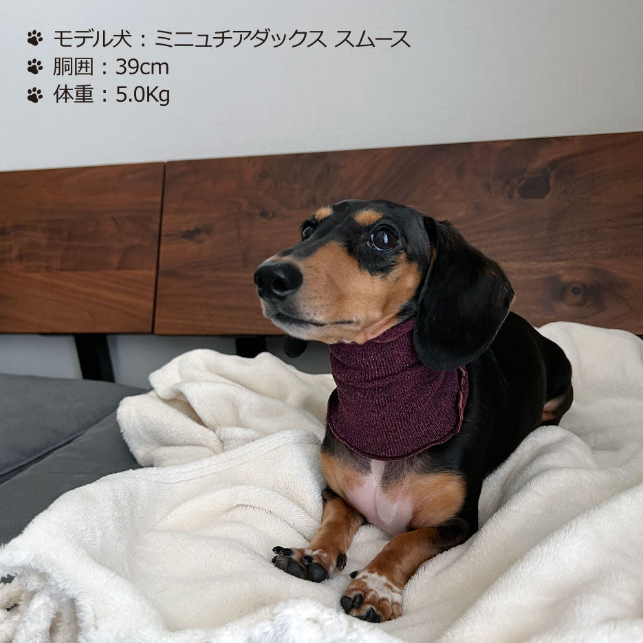 シルクメランジ ワンちゃん(超/小型犬)用 フード&ネックカバー ★フリーサイズ