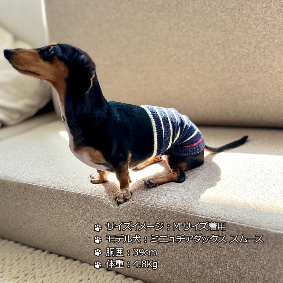 シルクメランジ ワンちゃん(超/小型犬)用 ロングタイプ 腹巻き ★アクセントラフボーダー  S/Mサイズ