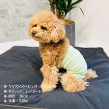 Load image into Gallery viewer, シルクメランジ ワンちゃん(超/小型犬)用 ロングタイプ 腹巻き S/M/Lサイズ
