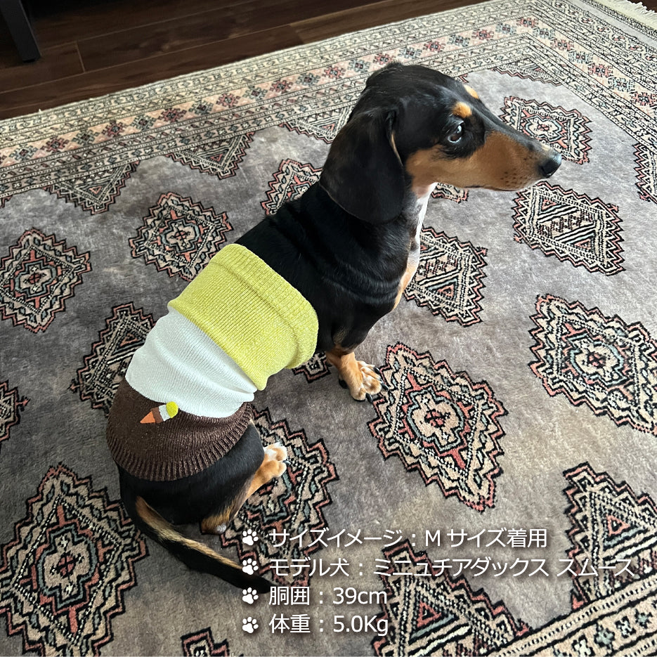 シルクメランジ ワンちゃん(超/小型犬)用 ロングタイプ 腹巻き ★アイスクリーム柄 刺繡つき S/Mサイズ