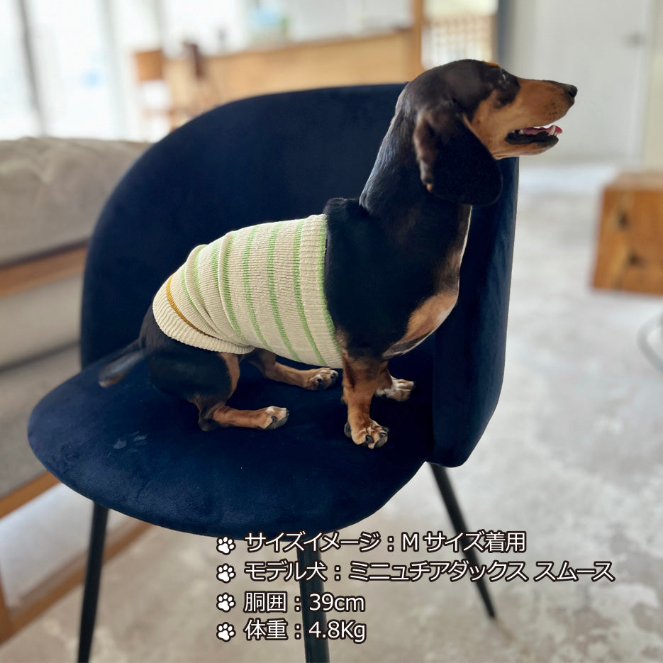 シルクメランジ ワンちゃん(超/小型犬)用 ロングタイプ 腹巻き ★アクセントラフボーダー  S/Mサイズ