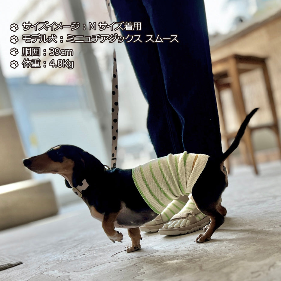 シルクメランジ 5本指アクセントラフボーダー クルー丈ソックス  23-25cm