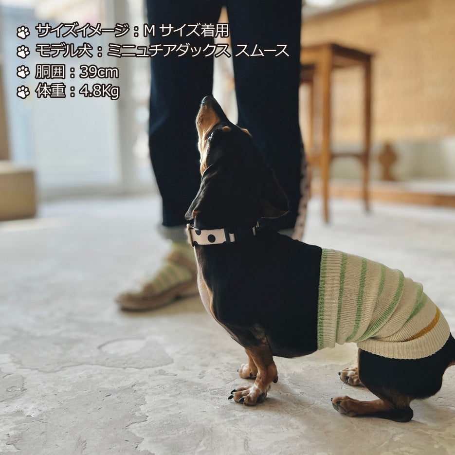 シルクメランジ ワンちゃん(超/小型犬)用 ロングタイプ 腹巻き ★アクセントラフボーダー  S/Mサイズ