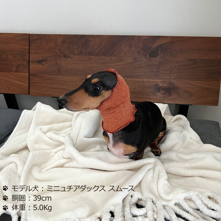 シルクメランジ ワンちゃん(超/小型犬)用 フード&ネックカバー ★フリーサイズ
