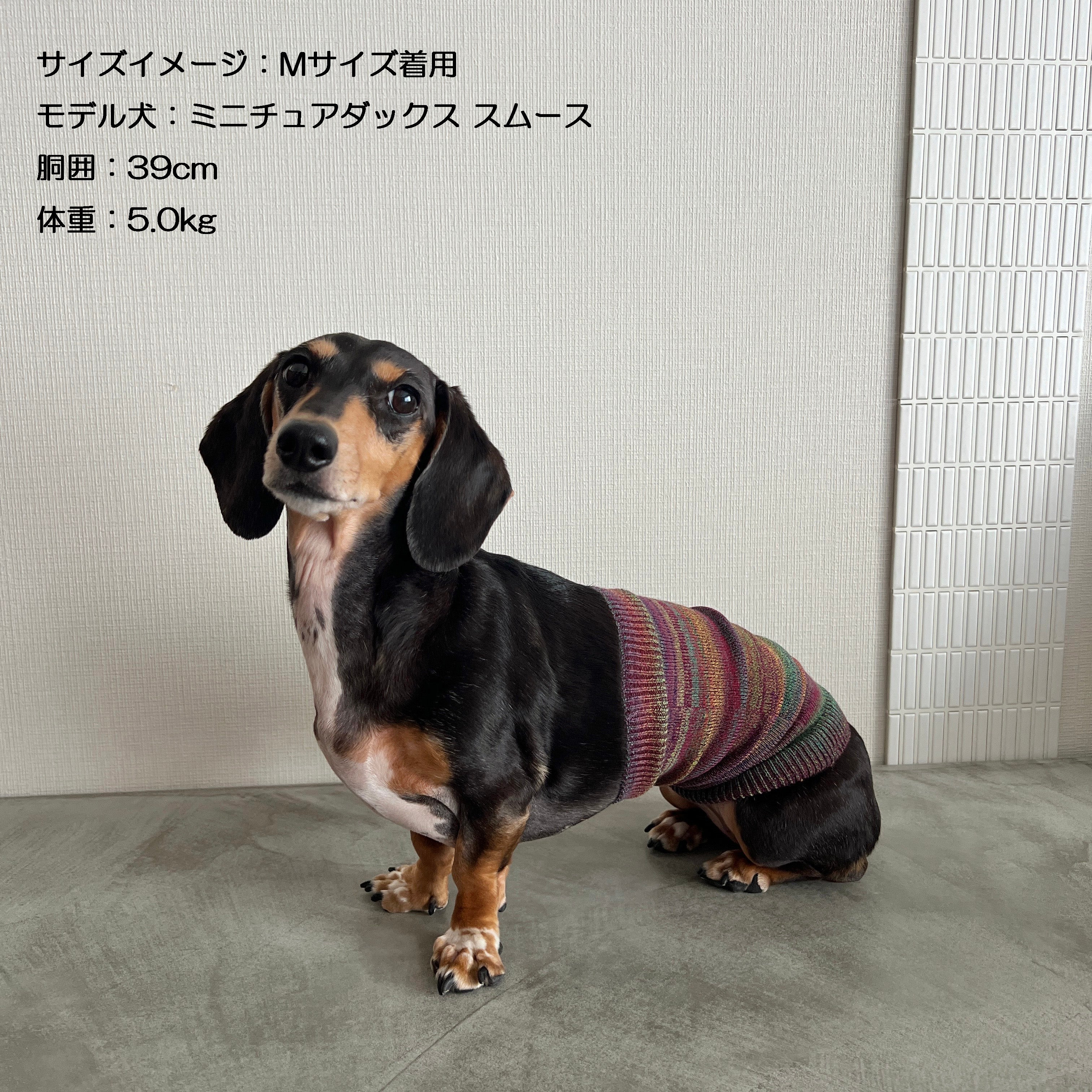 ウールかすり染め ワンちゃん(超/小型犬)用 ロング腹巻き