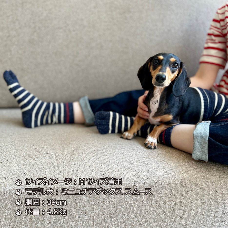 シルクメランジ ワンちゃん(超/小型犬)用 ロングタイプ 腹巻き ★アクセントラフボーダー  S/Mサイズ