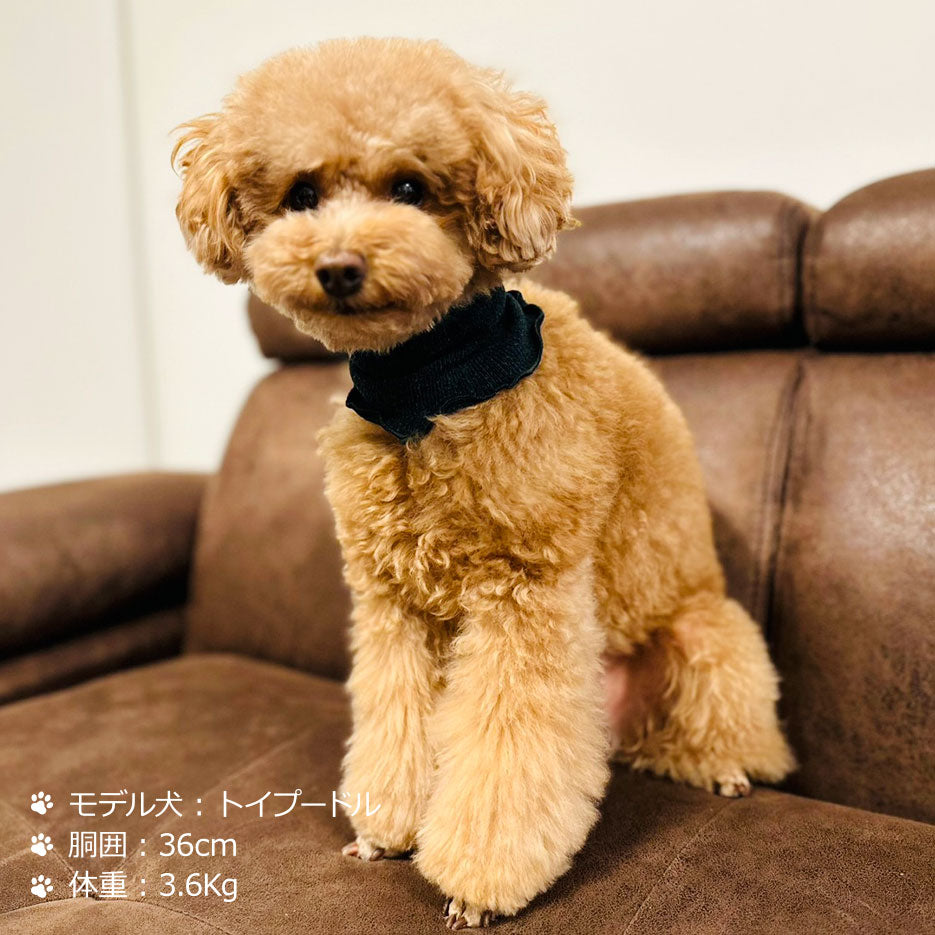 シルクメランジ ワンちゃん(超/小型犬)用 フード&ネックカバー ★フリーサイズ