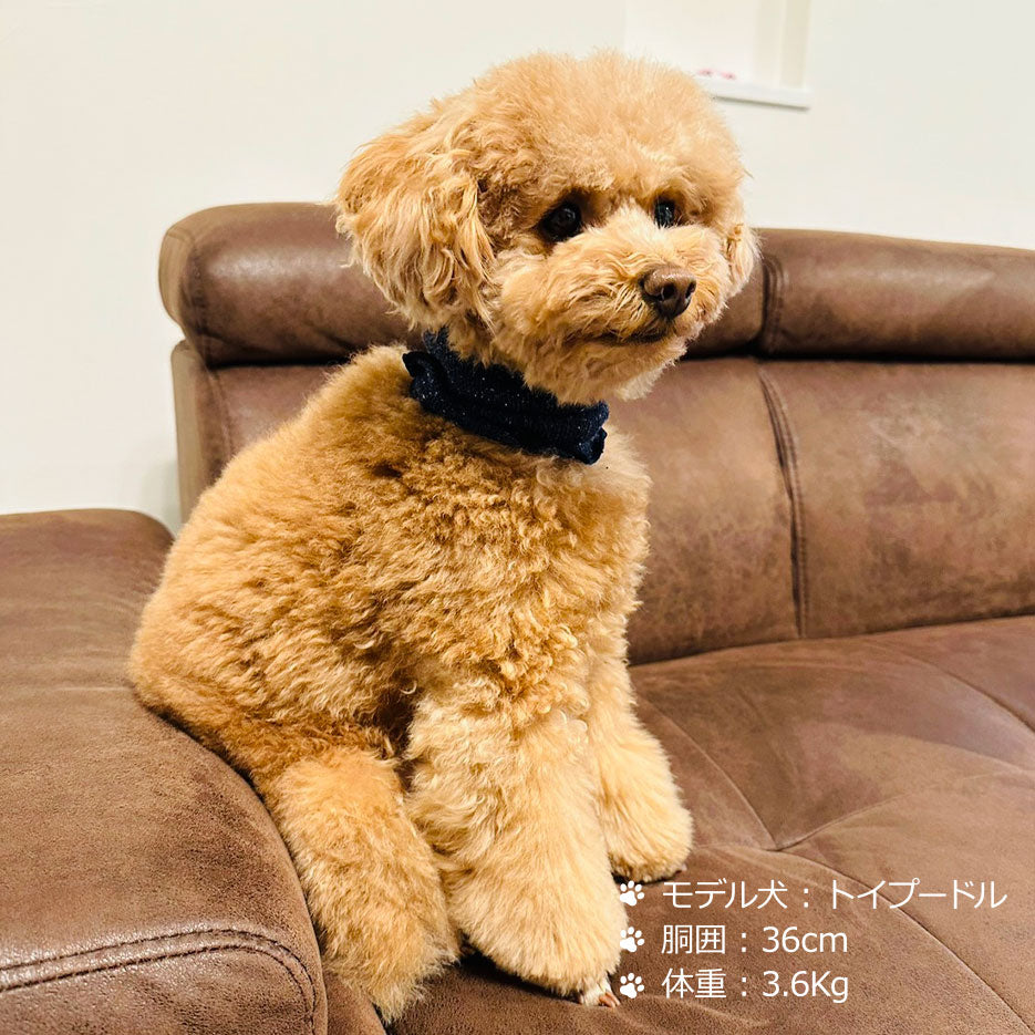 シルクメランジ ワンちゃん(超/小型犬)用 フード&ネックカバー ★フリーサイズ