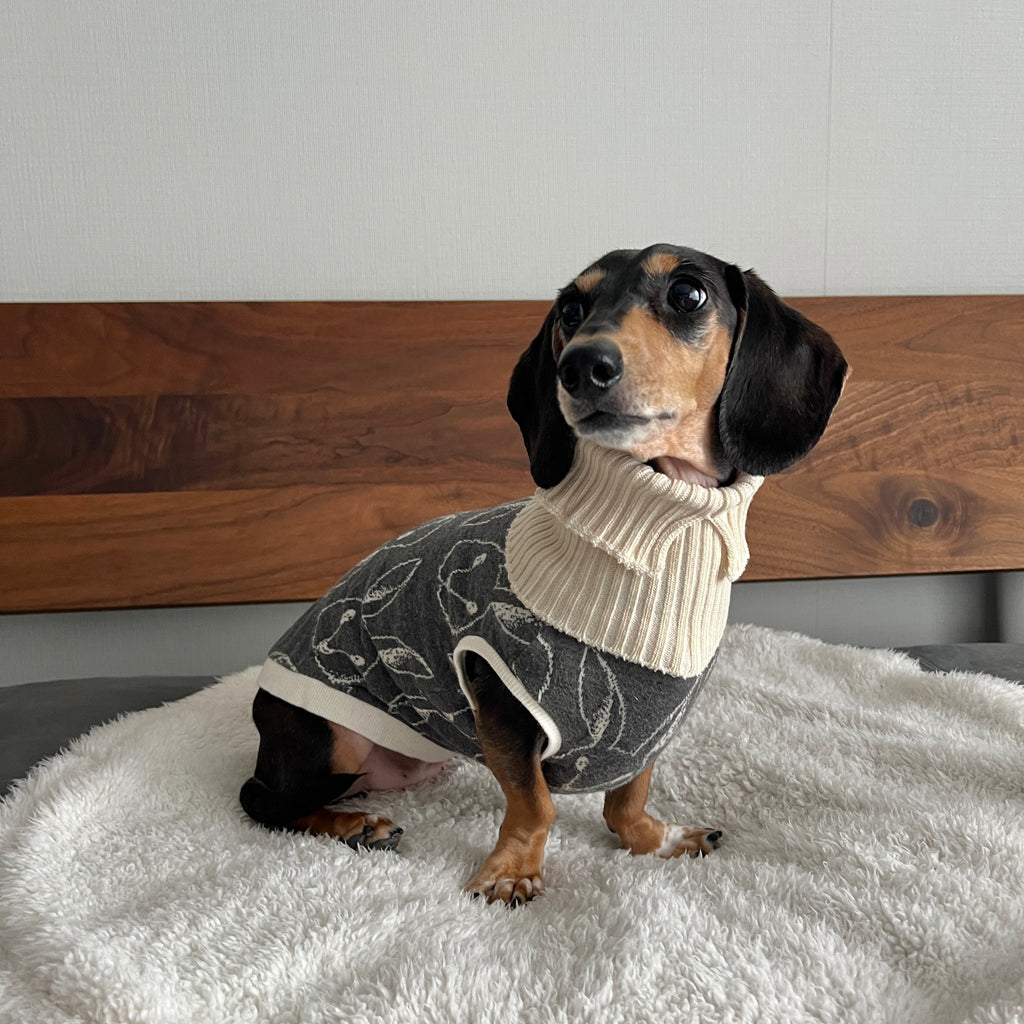 オーガニックコットン ワンちゃん(超/小型犬)用ネックウォーマー ★フリーサイズ