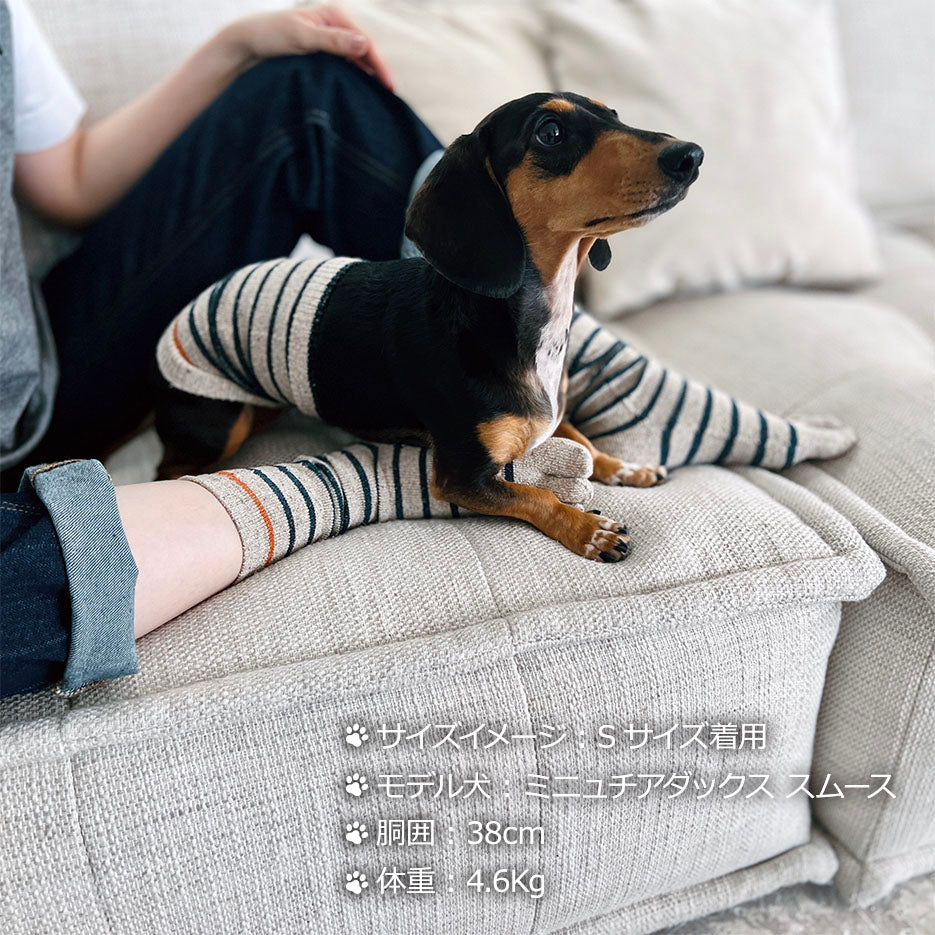 シルクメランジ ワンちゃん(超/小型犬)用 ロングタイプ腹巻き ★アクセントボーダー  S/Mサイズ
